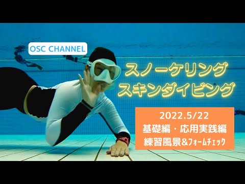 イルカと泳ぐコツとは！？ドルフィンスイムの練習！ジャックナイフ(ヘッドファースト)やフィンキックのフォームチェック！横浜国際プールのダイビングプール（水深5メートル）