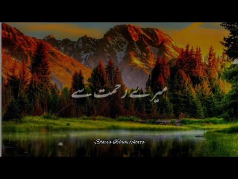 "Allah" Ki Rehmat Se Na Umeed Na Hona 🥀 | Islamic WhatsApp Status |