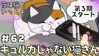 第３期スタート！【夜は猫といっしょ:62夜目】(字幕付き)