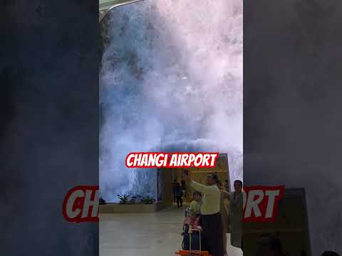 Changi airport  #singaporelife #singaporeairport #ytshorts #shorts #singaporeviewss #imvikasrawat