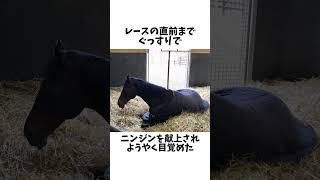 【近代競馬の結晶】ディープインパクトのエピソード#shorts #競馬 #競馬予想 #日本ダービー