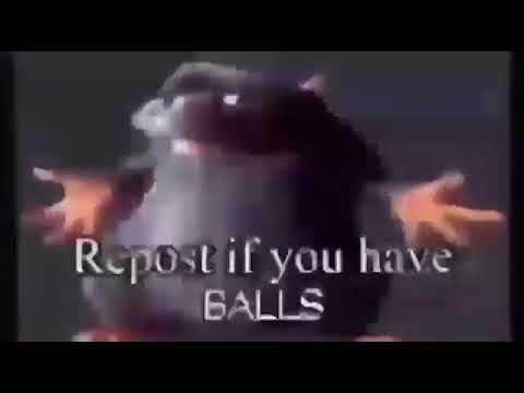 REPOST IF YOU HAVE BALLS