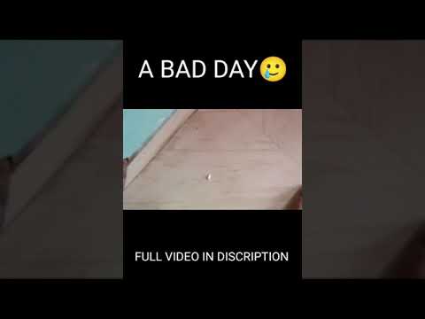 When You Have A Bad Day #darkcomedy #comedyvideo #funnyvideo