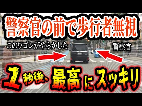 【ドラレコ】警察官の前で歩行者無視をした結果、このあと違反ワゴンに最高にスカッとする瞬間【ゆっくり解説】