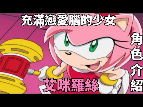 {音速世界}介紹一位充滿戀愛腦的社交恐怖分子-艾咪羅絲Amy Rose 角色介紹