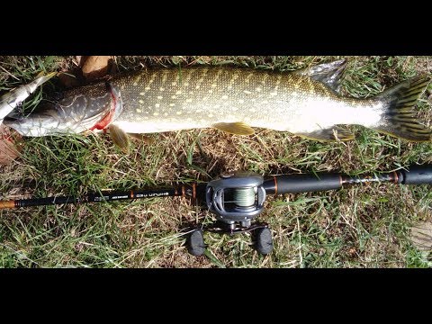 VIOLENTES ATTAQUES de brochet en ul et bigbait