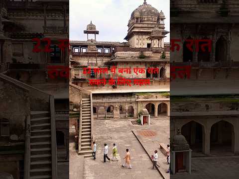 ओरछा महल। Orchha fort #shorts #India #kila #reels