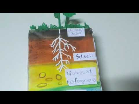 How to Make Soil Profile school project #3