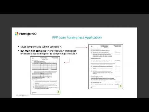 Completing the PPP Forgiveness Loan Application, Part II