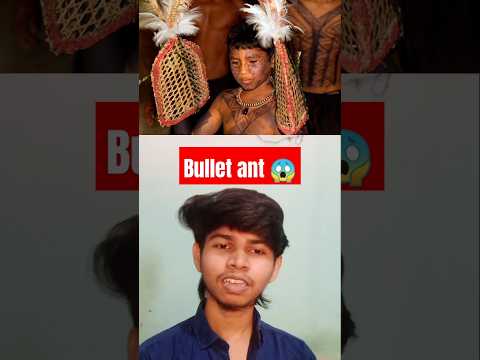 Bullet ant tradition 🔥? | #shorts #shortsfeed #weird #tamilshorts #viralshorts #mysterious #feed