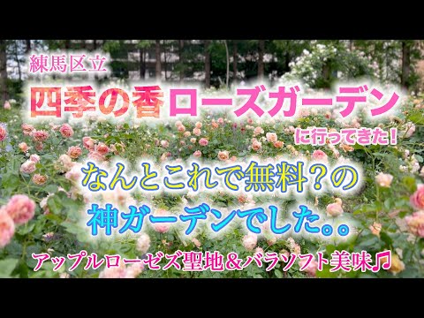 【バラ園に行ってきた】アップルローゼス聖地！四季の香ローズガーデンに行ってきました。こ、これで無料とは。。！？【５月１２日】