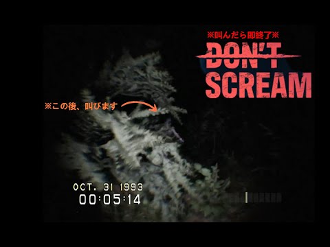 【Don't Scream】叫んだらゲームオーバーのホラーゲームが怖すぎてクリアできない【ゲーム実況】