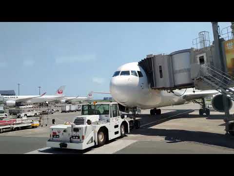 【4K】はとバス羽田空港ベストビュードライブ　第１ターミナル / Hato Bus Haneda Airport Best View Drive Terminal 1