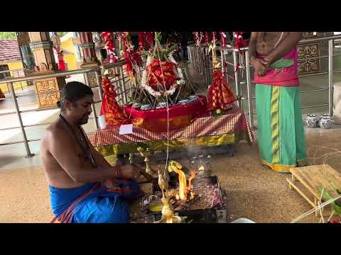 Goddess Maha Baddra Kali Homam puja #god #amman #kali