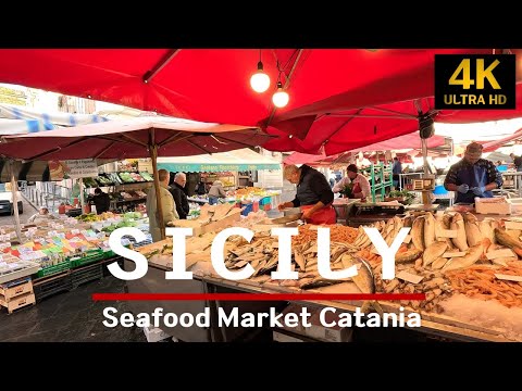 Catania Seafood Market Sicily  I  시칠리의 항구도시 까타니아에는 매일 활기찬 수산시장이 열립니다