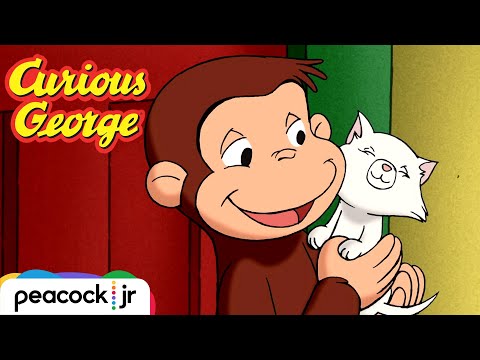 George Finds the Cutest Cure! | CURIOUS GEORGE