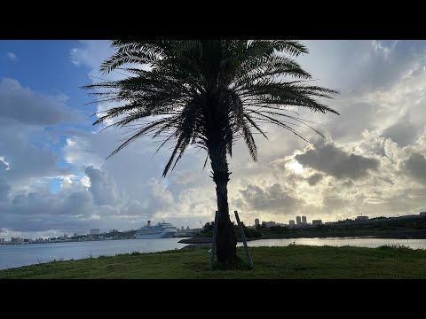 AMAZING BEACH VIEW