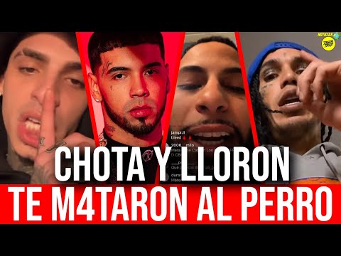 LUAR EN PROBLEMAS CON LOS DIABLOS: TE MAT4RON EL PERRO! ERES CHOTA! SOMBRA PR VS LUAR LA L! ANUEL AA