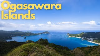 Discover the Hidden Paradise: Ogasawara Islands, Japan