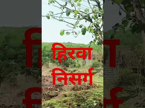 हिरवा निसर्ग हा भोवतीने #song #music #hindisong