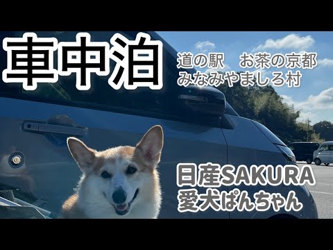 【車中泊】日産SAKURA　愛犬ぱんちゃん　車中泊　道の駅　京都みなみやましろ村