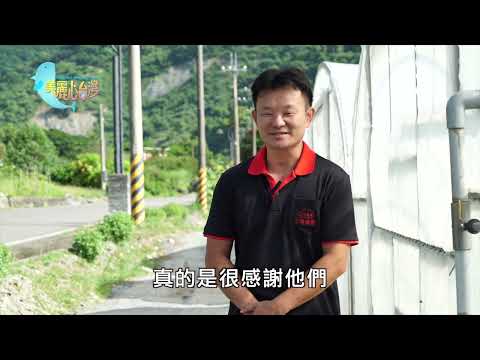 【台東延平鄉】台東穴盤有機蔬菜｜有機無毒｜376｜#美麗心台灣