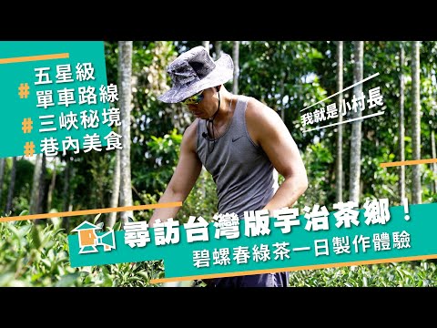 【三峽-天芳茶行】挑戰三峽五星級單車路線，尋訪台灣版宇治茶鄉！碧螺春綠茶一日製作體驗｜甘樂，小村長EP1