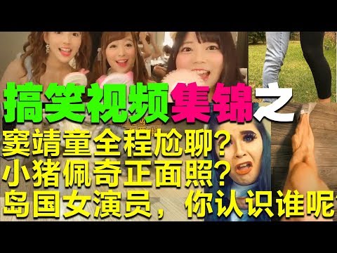 搞笑视频之：窦靖童被王菲要求参加节目，还全程尬聊？小猪佩奇正面长成这样！我有十栋房子出租，是十栋哦！岛国女演员，你认识谁呢？欢迎留言。