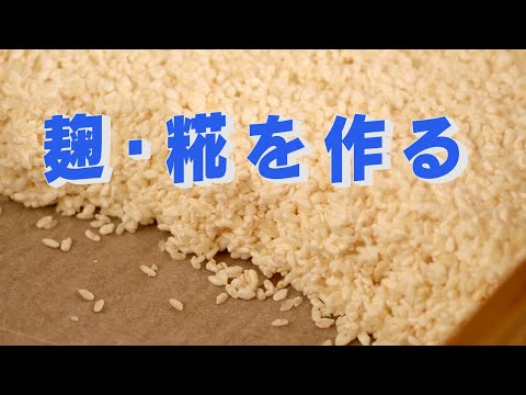 麹を作る　その1　「生きるを楽しむ」　Cocoroa通信その75