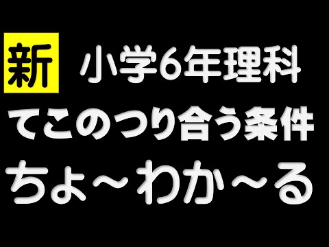 てこの実験動画の決定版！【６年てこのつり合う条件】小学校理科の実験動画で、これほどわかりやすく、少しずつステップアップしながら理解できる動画はありませんでした。根気よく最初から最後まで見て下さい。