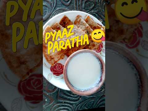 special onion paratha recipe l Try this unique onion paratha #shorts #ytshortsindia #amankikitchen