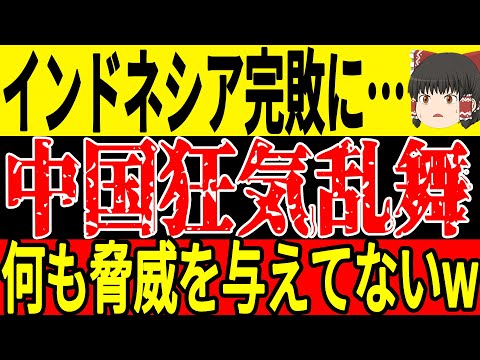 【サッカー日本代表】インドネシアが日本に大敗したことで中国が大騒ぎ状態！しかしインドネシアも中国に反抗するかのような内容を伝えるも特大ブーメランにw【ゆっくりサッカー】