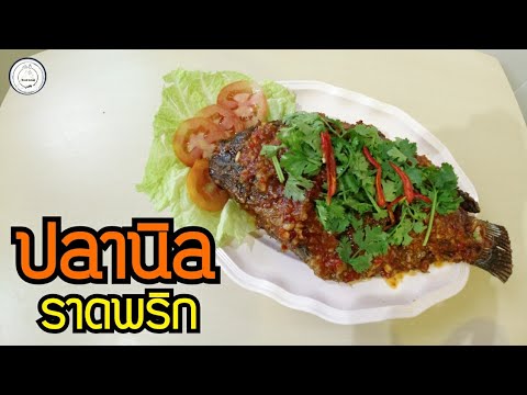 ปลาราดพริก | ปลานิล size 1.3 kg. | food travel studio