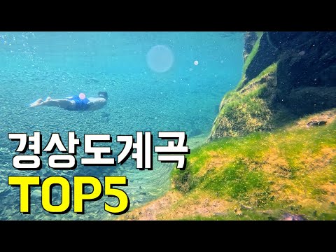 [2024년 최신판] 계곡유튜버가 추천하는 경상도계곡 TOP5