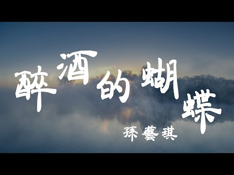 醉酒的蝴蝶 - 孫藝琪 - 『超高无损音質』【動態歌詞Lyrics】