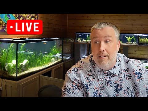 3 New Products at Aquarium Co-Op Shopping Channel Live Stream