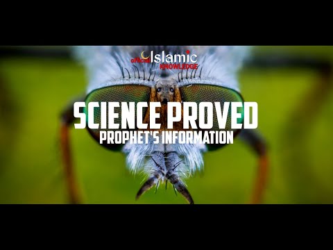 Science Proves Prophet's Information About Flies Which Said 1400 Years Ago