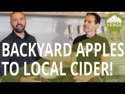 Turning CALGARY Apples To Craft Cider? : Interview with SunnyCider