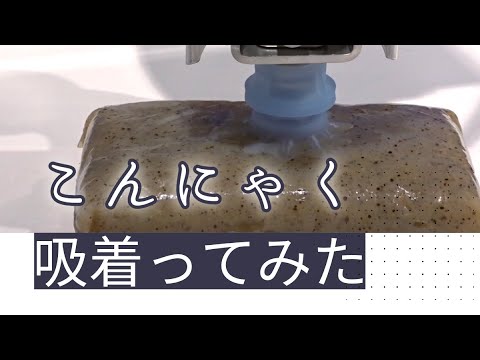 【吸着ってみた】こんにゃく【コンバム】