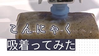 【吸着ってみた】こんにゃく【コンバム】