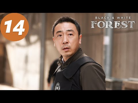 ENG SUB | Black & White Forest | EP14 | 黑白森林 | Ding Yuxi, Ning Li, Han Xue