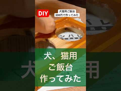 犬猫用のご飯台を200円で作ってみたdiy#作ってみた #diy#猫のいる暮らし