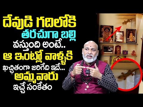 ఇంట్లోకి తరచుగా బల్లి వ‌స్తుందంటే..| Effects Of Lizards | Lizards In Home | Nanaji Patnaik | TSW