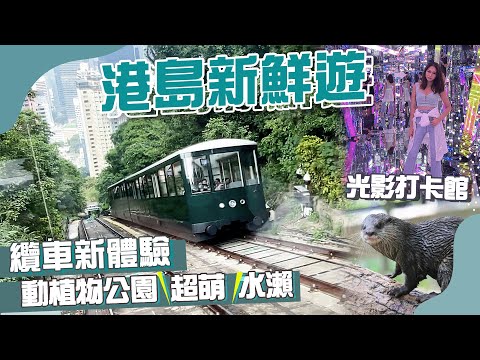 【🔥Hong Kong Attractions】New Peak Tram ＼🤩Comparable to foreign luxury light-seeing train 🚞