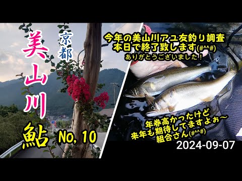 2024-09-07 京都美山川 アユ友釣り調査！No,10 兄4回目