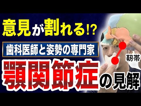 【顎関節症】姿勢が悪いと顎関節症が治らない！？姿勢の専門家と歯科医師の顎関節症に対する治し方の違いとは？