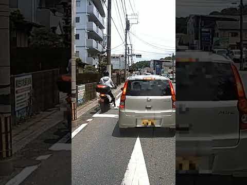 132 赤信号無視して行く原付に、釣られて走り急ブレーキの車 #shorts