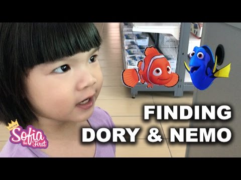 Finding Dory and Nemo at Harvest Fish and Pet Shop in KK