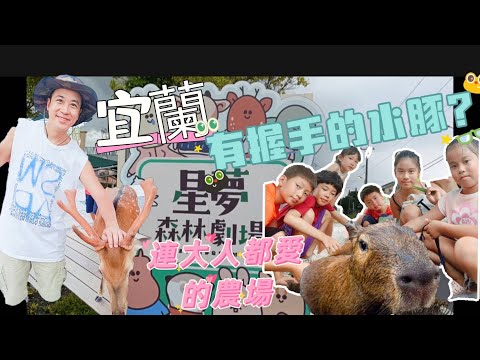 宜蘭有水豚居然會握手？這也太厲害了吧【吳懷中 小龜 夫妻生活日常VLOG】