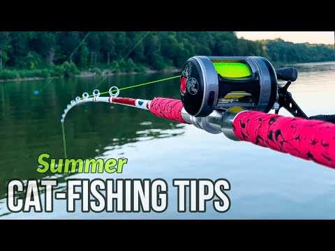 Don’t Make This Mistake While Catfishing This Summer!  (Summer Fishing Tips)